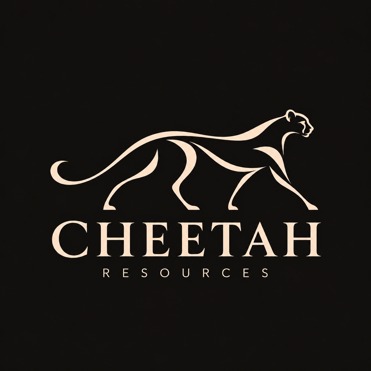 Cheetah Resources — cheetah emblem and wordmark